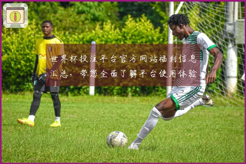 世界杯投注平台官方网站福利信息汇总，带您全面了解平台使用体验与功能介绍
