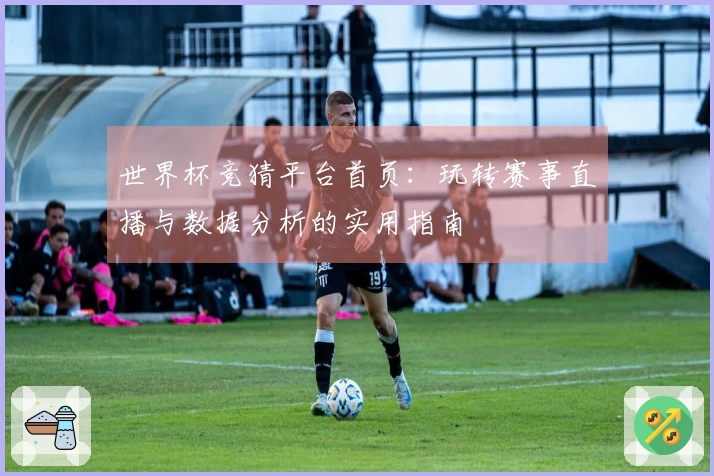 世界杯竞猜平台首页：玩转赛事直播与数据分析的实用指南