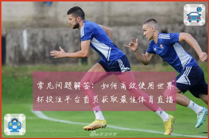 常见问题解答：如何高效使用世界杯投注平台首页获取最佳体育直播体验